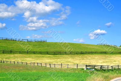 summer country view with fields and fences