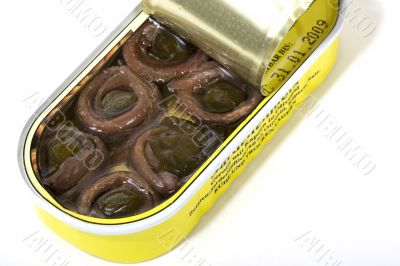 Anchovy in cans