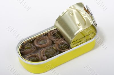 Anchovy in cans