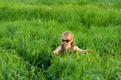 The child in a grass The child in a grass