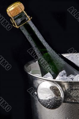 Sparkling champagne in the bucket