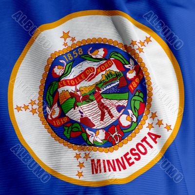 Minnesota Flag Closeup