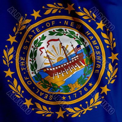 New Hampshire Flag Closeup