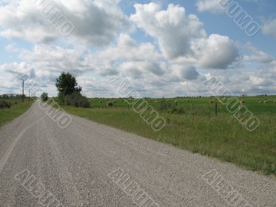 dirt road through a field