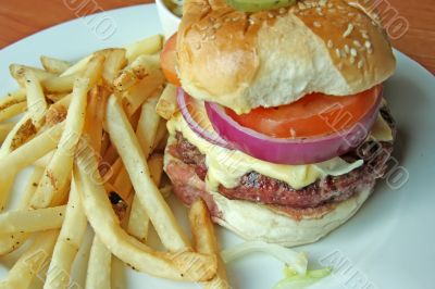 Fancy cheeseburger