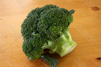 Fresh raw brocolli