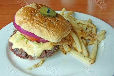 Fancy cheeseburger