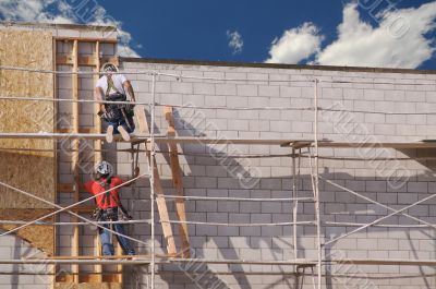 Carpenters Working Diligently