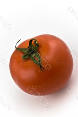 one fresh red tomato
