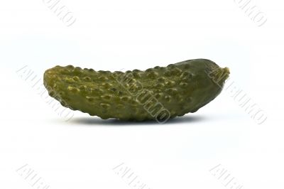 one green pickled cucumber