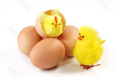 Yellow chicken Yellow chicken