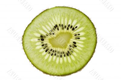 Slice of kiwi