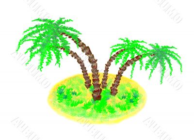 palm tree