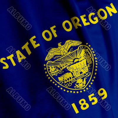 Oregon Flag Closeup