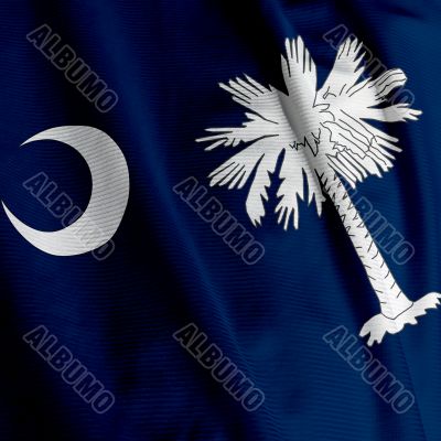 South Carolina Flag Closeup