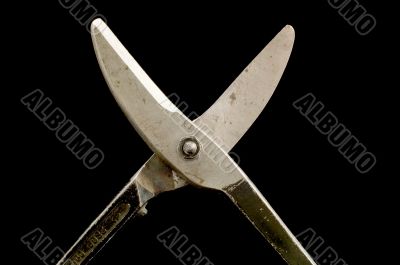 alligator shears