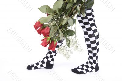 rose and funny stocking