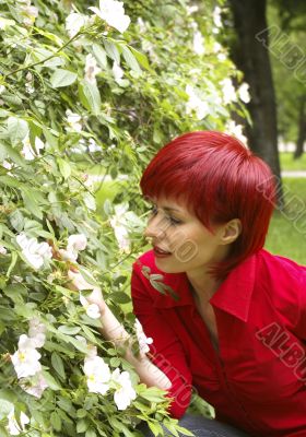 Young beautiful girl smells a rose