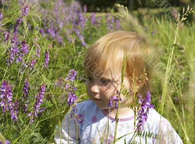 Little girl and field flowers Little girl and field flowers