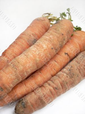 Carrots Carrots