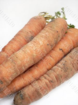 Carrots