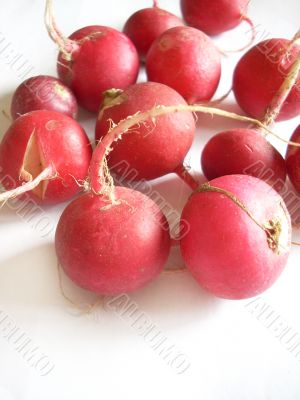 Radishes