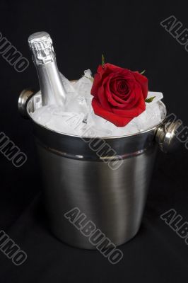Iced champagne with Rose