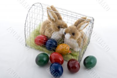 Easter bunny in a cage