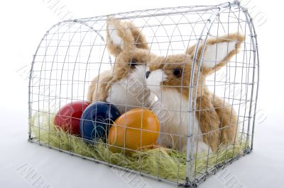 Easter bunny in a cage