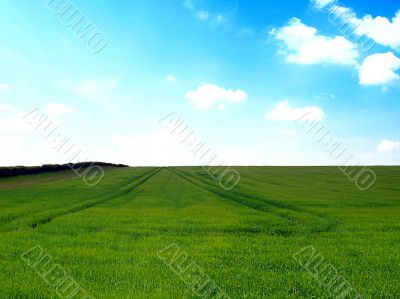 english countryside and summer cloudy sky