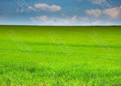 green and blue green and blue
