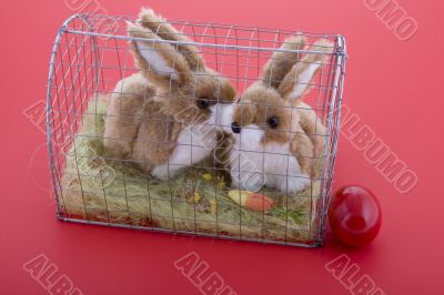 Easter bunny in a cage