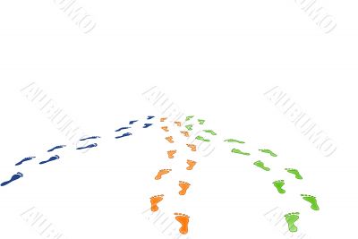 Traces Traces
