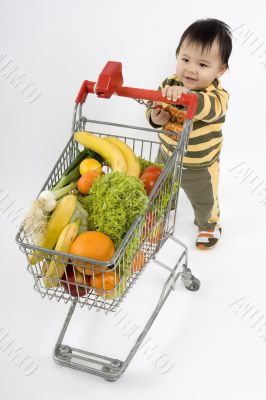 Baby pushes a shopping cart