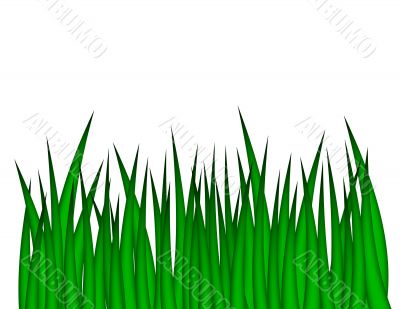 Green Grass Illustration