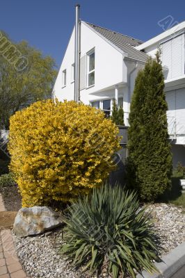 Stylish home ownership