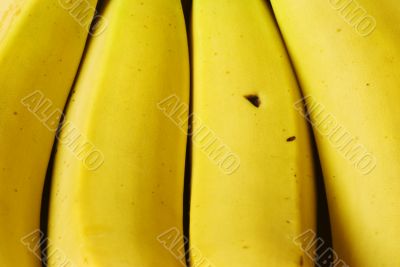 Bunch of bananas