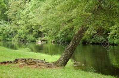 Natures Best Natures Best