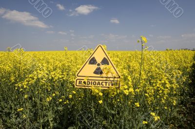 rape field with sign radio-active