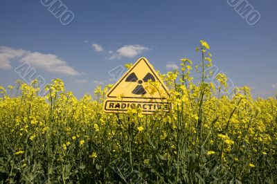 rape field with sign radio-active