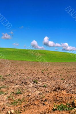 summer plough