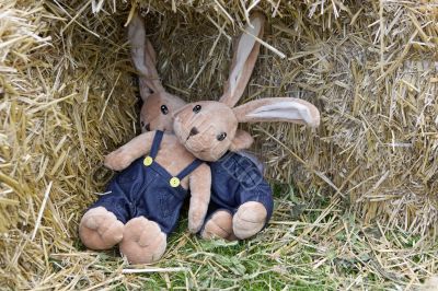 Easter Bunny from substance