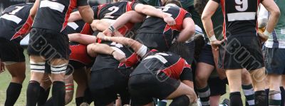 rugby