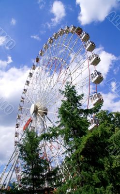 Wonder wheel in the park