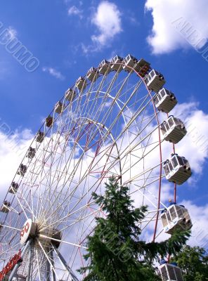 Wonder wheel in the park