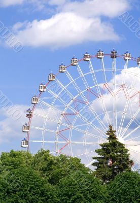 Wonder wheel in the park