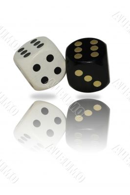 isolated dice