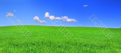 beautiful panoramic view of peaceful grassland