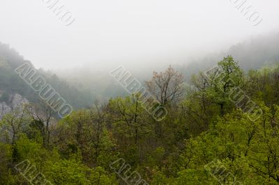 Cloud in mountains