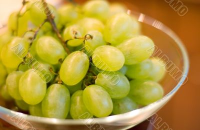 grapes in bowl
